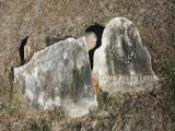 image of grave number 873784